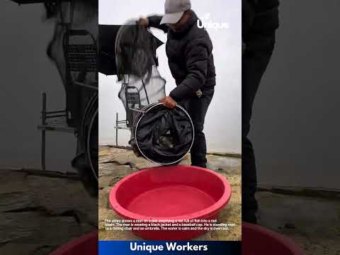 Successful Fishing Trip: Man Empties Net Full of Fish into Basin