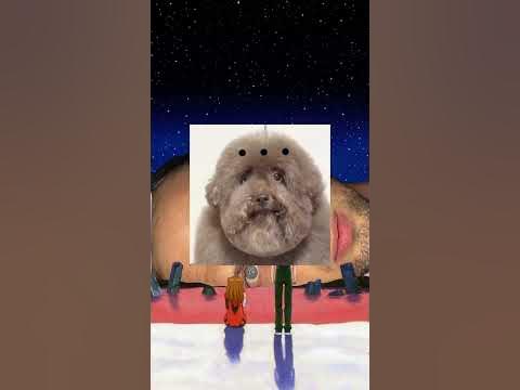 Мемные авы #рекомендации - YouTube