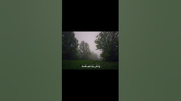 وَإِذَا قُرِئَ الْقُرْآنُ فَاسْتَمِعُوا لَهُ 🤍✨️ #القرآن_الكريم #تلاوة #خشوع #طمأنينة #سورة #آية