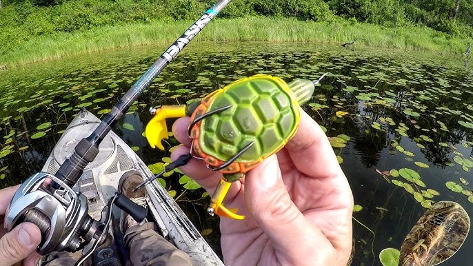 Turtle Lure for Bass???  Gimmick or Legit?!? 