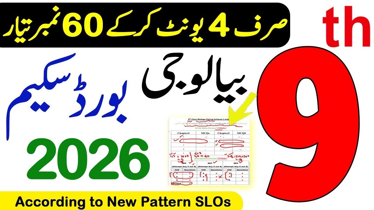 Схема пар по биологии для 9-го класса 2025 | Тест-головоломка по биологии для 9-го класса 2025