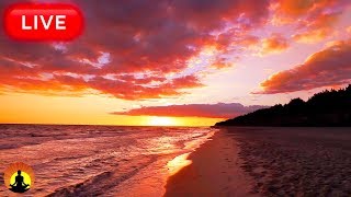 🔴 Relaxing Sleep Music 24/7, Deep Sleep Music, Calm Music, Sleep Meditation, Sleeping Music, Relax