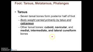 Chapter 8D - Appendicular Skeleton - Lower Limb Bioh 112 Chapter 8 Part 1 Appendicular Skeleton