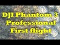 DJI Phantom 3 Professional. First flight. 4K  test. Первый полет и тест видео в 4К