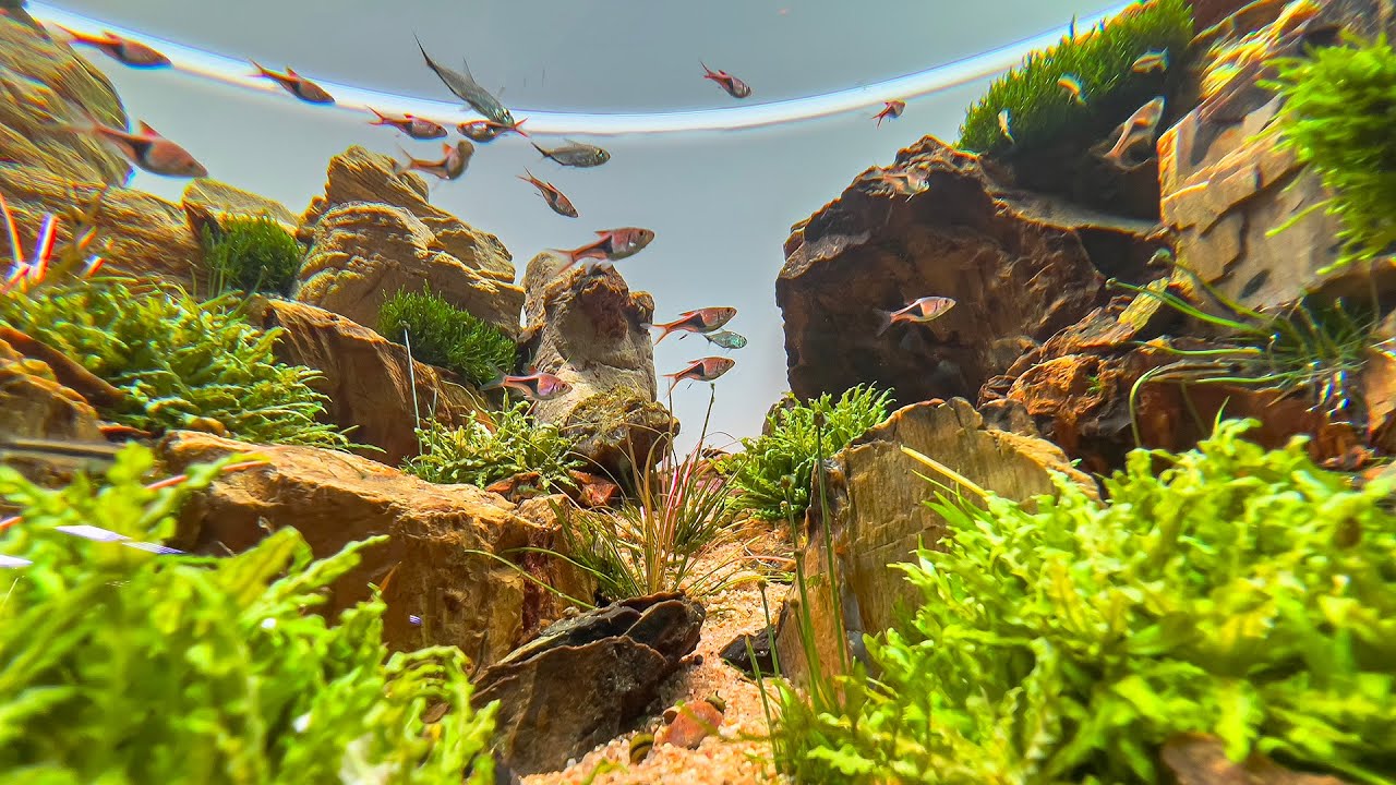 *ВСЕ* ПОТРЯСАЮЩИЕ АКВАСКЕЙПЫ | ЗЕЛЕНАЯ АКВА | ПОЛНЫЙ ТУР