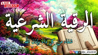 الرقية الشرعية بصوت #القارئ_زيد_الزبيدي #القران_الكريم #quran