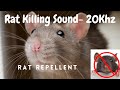 Anti Tikus Pengusir | Suara Pembunuh Tikus | Suara Pitch Sangat Tinggi | 20Khz | Bunuh Tikus menggunakan ponsel