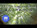京都 嵐山 竹林の小径 01 KYOTO Arashiyama bamboo forest japan