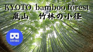 京都 嵐山 竹林の小径 01 KYOTO Arashiyama bamboo forest japan