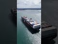 Melbourne Port ,ANL GIPPSLAND inbound #cargo #ship #melbourne #containership #port