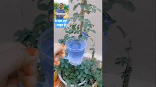 Magical Health Benefits of Blue Tea #aparajitatea #butterflypeatea #healthtips #ayurvedictea #shorts