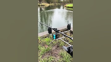 Carpsight VORTEX Line Tensioing Roller System