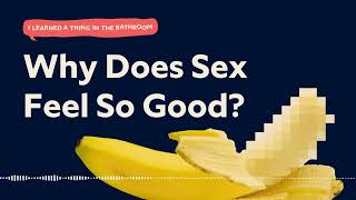 Why Does Sex Feel So Good? | I Learned a Thing in the Bathroom Podcast