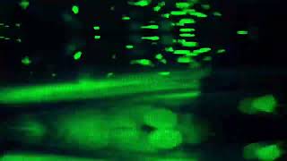Nine Inch Nails - Underneath It All Alt