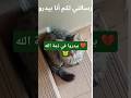 بيدروا في ذمة الله 💔😿 #الرفق_بالحيوان_سبب_لدخول_الجنه #اكسبلور #كلاب #cat #الرحمن #الظروف #kitten