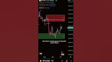 Master the art of lazy trading with TradeHomie! Let our automation tools handle your trading.