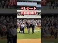 ベレシート、京都新聞杯のパドック。 #競馬 #horse