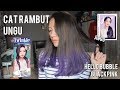 [TUTORIAL] Cat Rambut Sendiri Ungu (Hello Bubble BLACKPINK Twinkle Blue)