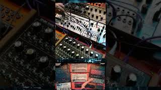 Live improvised classic Techno Intellijel Atlantis Eurorack Modular Synth #techno #euroracksynth