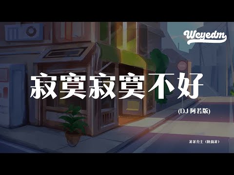 菲菲公主 陆绮菲 寂寞寂寞不好 DJ 阿若版 拼了命的想对白 请别把我推开 動態歌詞 Pīn Yīn Gē Cí 菲菲公主 寂寞寂寞不好 動態歌詞