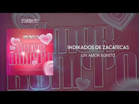Indikados de Zacatecas - Un Amor Bonito (Audio)