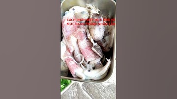 Mực khô – Đừng nhầm lẫn giữa mực ống và mực nang, cách phân biệt cực dễ chỉ trong 5 giây!