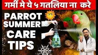 Parrot 🦜 Liye Ho To Ye 5 Galti Summer Me 😱 Kabhi Mat Karna | Parrot Summer Care Tips | In Hindi