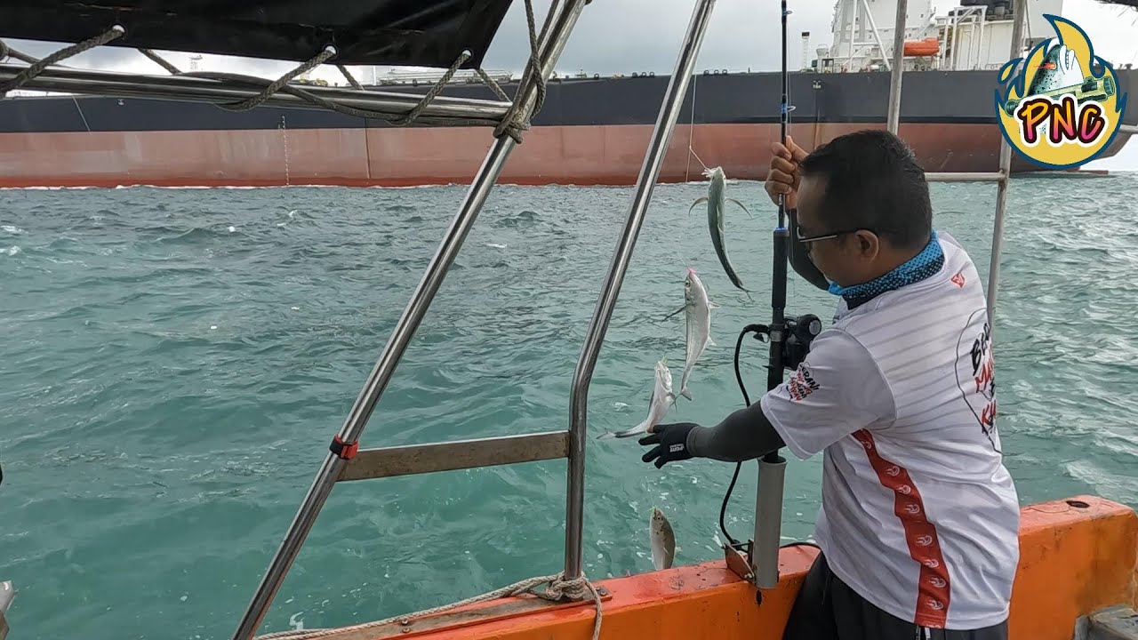 Trip Cencaru Pecah Tong 400 kg Port Klang