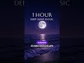 1 hour Sleep and Meditation Music #relaxingmusic #meditationmusic