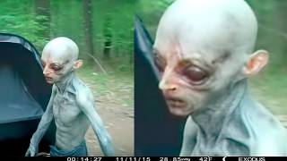 10 Strange Canadian Cryptids