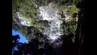 Tanama Cave Tour Only The Strong Survive