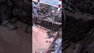 River cleaning grabber tool for easy trash removal #shorts #cleaning #tools