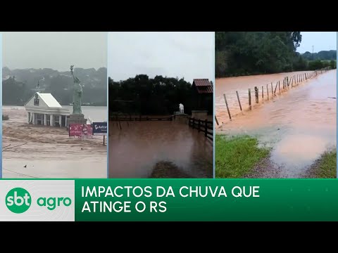 Video chuvas-no-rio-grande-do-sul-causa-prejuizo-para-o-agronegocio