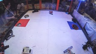 Insane 12-Bot Rumble - Ng Conference 2017