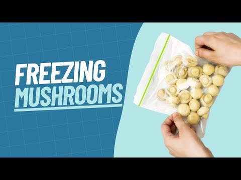 How To Freeze Mushrooms | Our Method For Freezing Mushrooms