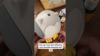 How to Clean your Young Living Diffusers