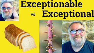 😎Exceptionable vs Exceptional Meaning - Exceptionable Definition - Exceptional Defined Exceptionable