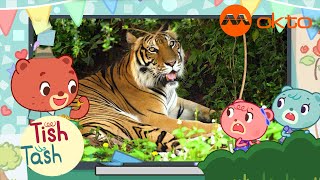 Exciting Safari Adventure Watching Wildlife Tishtash S1E15