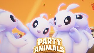 :  , , !  Party Animals