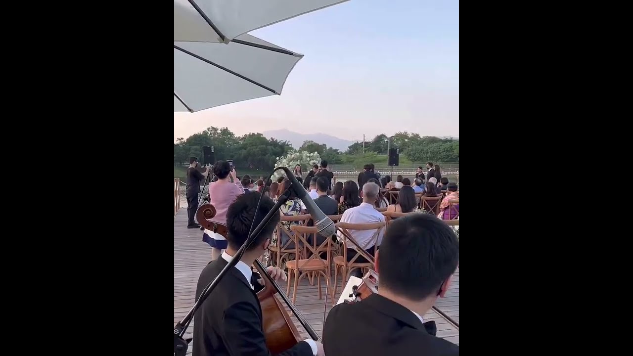 Canon in D - Harp, Violin & Cello Trio