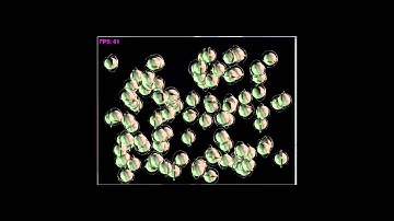 Allegro Sprite Animation