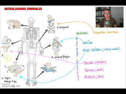 Vídeo: Diferencia Entre Cristales Uniaxiales Y Biaxiales