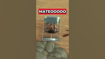 EASY passed NIGHTMARE MODE with TESLA (story) #deadrails #roblox #robloxgames #robloxedit