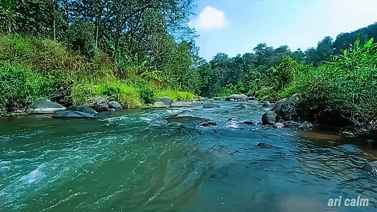 RELAX WITH BABBLING STREAM & ROCKS – PEACEFUL WATER SOUNDS FOR RESTFUL SLEEP #47