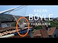 KAÇAK GÜVERCİN BÖYLE YAKALANIR