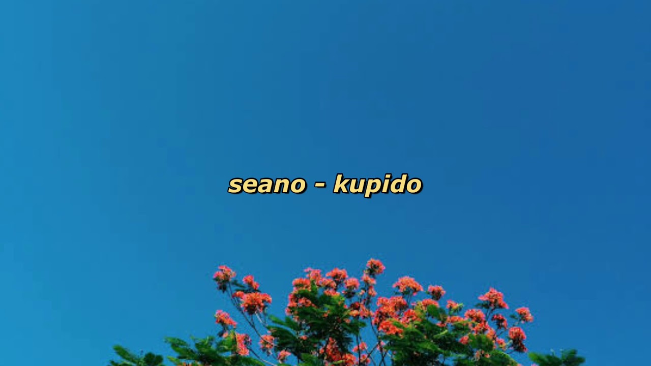 seano - kupido (lyrics)