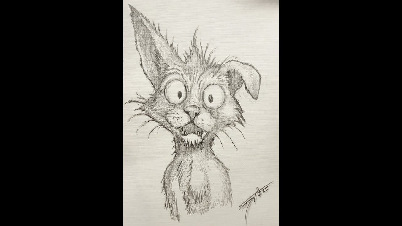 Frenzy Cat – Real-Time Pencil Drawing + One-Take Guitar Jam (36 Min)