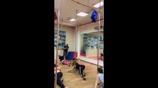 Pole Exot Combo Ninak From Workshop