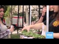VideoΣΟΚ:Δείτε η WIND βλέπει την Ελλάδα μισή