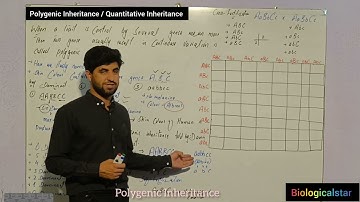 "Polygenic Inheritance "|| "Human Skin Colour" || #lec 11 Hindi/Urdu #biologicalstar